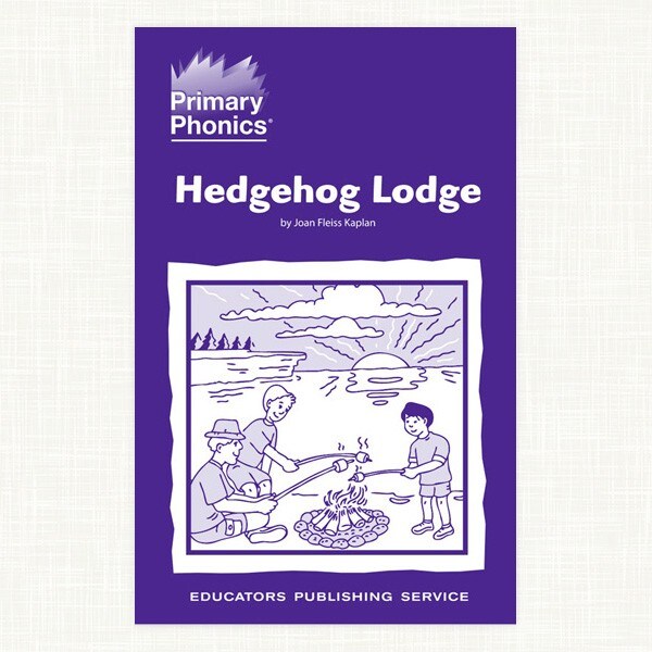 Primary Phonics Comprehension Storybook Starter Set - Level